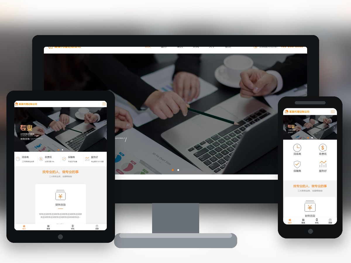 响应式代理记账财政咨询服务类网站模板 html5财务会计类网站